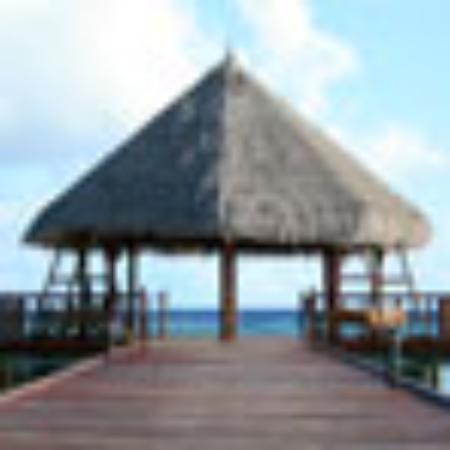 Restauracja Navigator